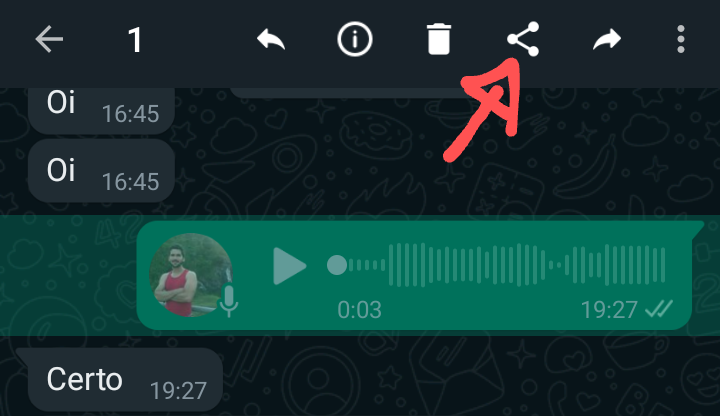 Transcrição de áudio do whatsapp 